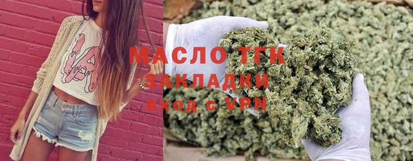 крисы Алзамай