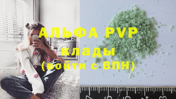 крисы Алзамай